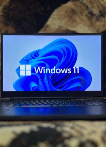 Activer la protection du réseau dans Windows 10 & 11