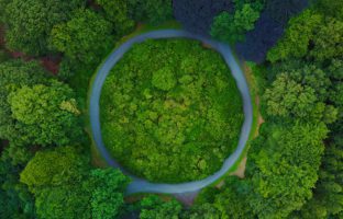 HP et le WWF font cause commune