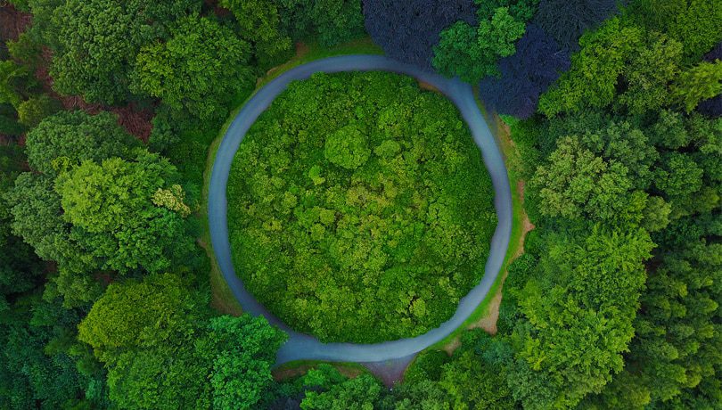 HP et le WWF font cause commune