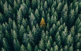Wat is de CO2e-voetafdruk van je bedrijf en hoe kun je die verkleinen?